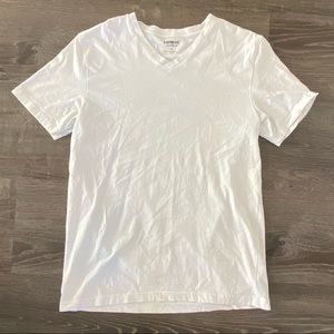 Express Flex Stretch V-Neck